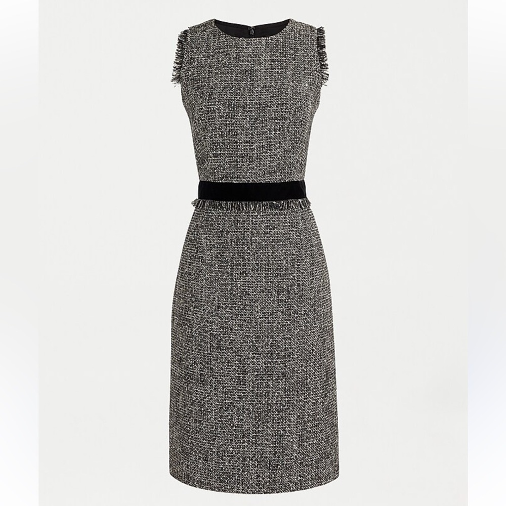 J.Crew Women Sparkling Constellation Metallic Tweed Fringe Velvet Sheath Dress